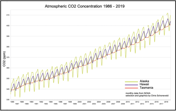 De mondiale CO2-huishouding: mooie getallen, geveinsde zekerheid, maar hoogst twijfelachtig fotosynthese en soil respiration domineren de CO2-huishouding