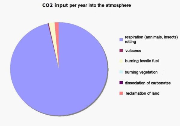 Grenzen aan de CO2-groei lucht koolstof evenwichtsconcentratie De mythe fossiel CO2 vernietigt de wereld leidt tot zo’n fanatieke CO2-jacht