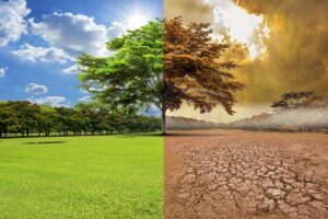 Zijn de AGW-hypothese, ’hernieuwbaar’ en het Parijse klimaatakkoord nog wel relevant om de klimaatverandering te kunnen stoppen?