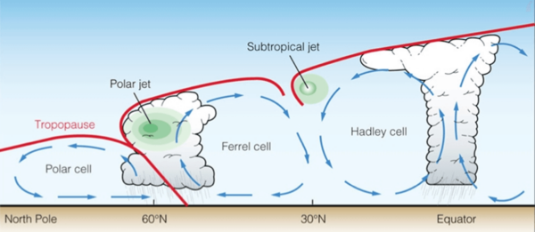 De circulatie tussen de evenaar en ongeveer 30 graden noord en zuid van de evenaar wordt de Hadley-cell genoemd