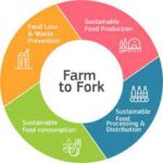 Einde van De Groene Revolutie - Waarom Europa's 'Farm to Fork'-beleid honger zal doen toenemen