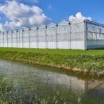 Klimaatminister: groot risico vertrek glastuinbouw naar buitenland bij Europese CO2-prijzen