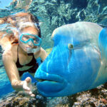 Great-Barrier-Reef-Snorkelling