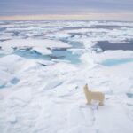 Oppervlakte Noordpool-ijs op recordniveau. Kunnen de onheilsprofeten dat verklaren?