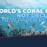 Coral reefs Screenshot-2023-02-08-at-09.55.06-2-768×397
