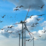 Vogels windmolens Shutterstock