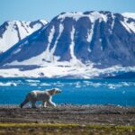 De opwarming van westelijk Spitsbergen