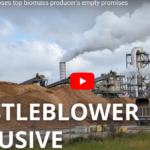 Biomassa video