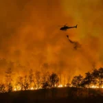 Bosbranden-in-Spanje-de-afgelopen-50-jaar-afgenomen-1-scaled